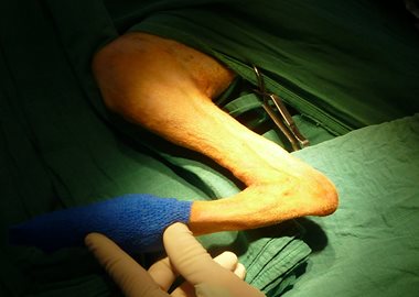 Chirurugie orthopedique - Clinique veterinaire du Vernet